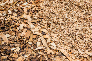 Pile of Wood Flakes Background/ Texture