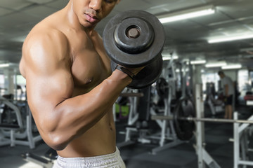 Fototapeta na wymiar Fitness man in training, showing exercises with dumbbells in gym