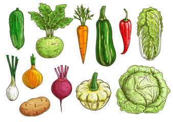 Vegetable isolated sketch set for food design