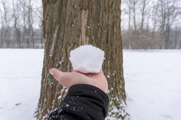 Schnee in der Hand 