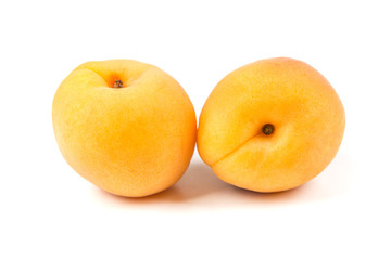Whole ripe apricots isolated on a white background