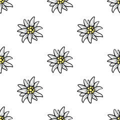 Edelweiss flower seamless pattern background texture
