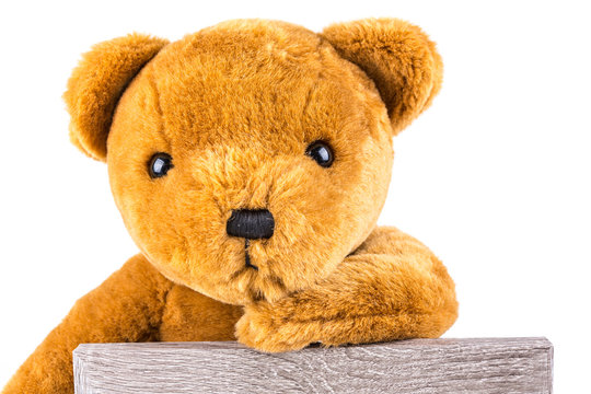 Pensive brown teddy bear leaning on a grey board isolated on a white background