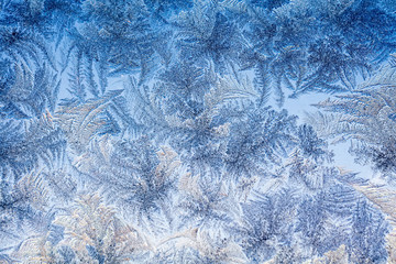 Winter Frost Patterns on Window