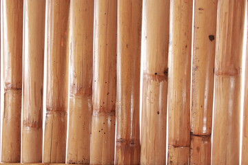 bamboo wood