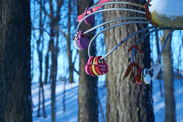 petal iron flower with locks