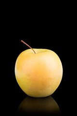Green apple on a black background