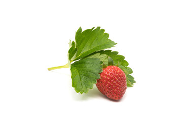 Fresh strawberry with leaves