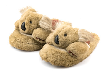 Brown winter slippers