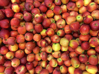 Äpfel