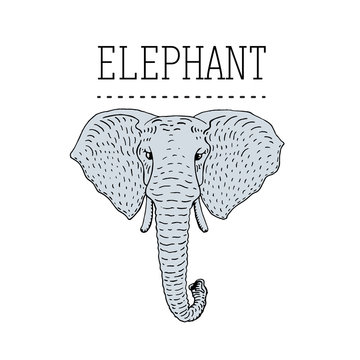 Vintage Elephant Logo design vector template linear style.