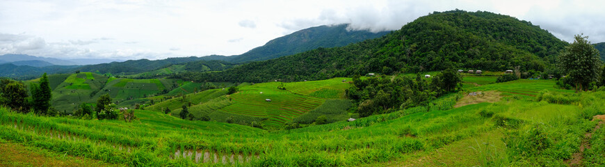 Obraz premium Beautiful rice terraces at Ban Pa Pong Pieng, Mae chaem, Chaing