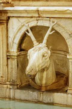 Deer head. Palermo fontain Pretoria decorative element, Italy