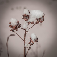 winter impression - show and ice
