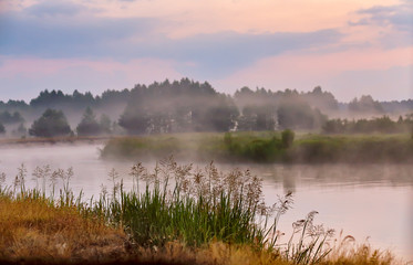 Foggy river in the morning. Misty dawn at summer. Misty morning
