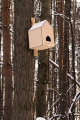 Wooden birdhouse hanging on the tree at winter