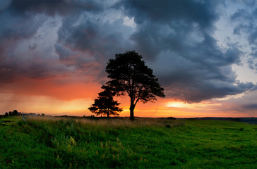 Fototapeta na wymiar Zachód słońca po burzy, drzewa na łące. Polska