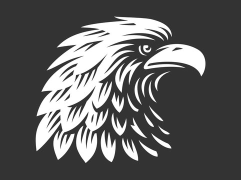 Eagle head - vector illustration on dark background