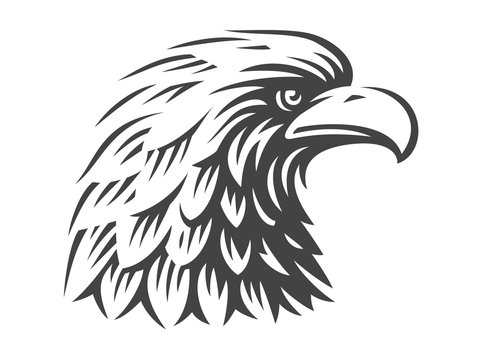 Eagle head - vector illustration on white background