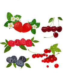 Berries Set Vector Illustration. Strawberry, Blueberry, Cherry, Raspberry, Red currant.