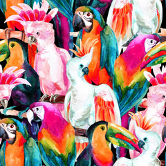 watercolor parrots seamless pattern