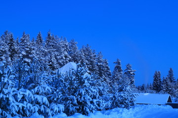 Зимний вечер за городом. © vubaz