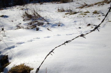 Barbed wire fence and foot trails on the snow leading to freedom, Greece.