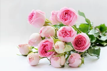 Poster de jardin Roses Pink rose flowers bouquet