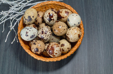 Quail eggs in a wicker backet .Easter eggs on a grey  background - Easter decoration