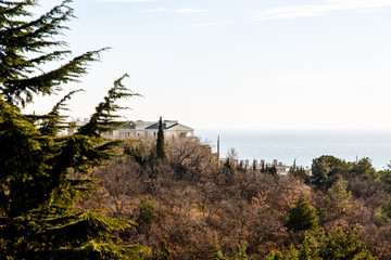The Villa stands amongst cypress trees on the shore of the sea.