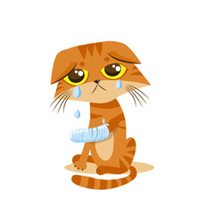 Sad Crying Cat. Cat Tears. Cartoon Vector Illustration. Splinting Leg. Crying Cat Meme. Cat Face. Cat Picture. Crying Cat Emoticon. Cat Wants To Come In. The Poor Cat. Weeping Cat.