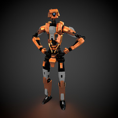 Fototapeta premium humanoider Roboter