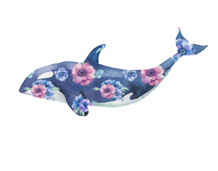 Naklejka premium Orca with flowers artwork. Watercolor print with killer whale and anemones bouquet pattern. Hand painted animal silhouette isolated on white background. Creative natural illustration