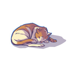 Spotted cat sleeping curled up