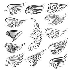 Vector wings isolated on white background. Cartoon tattoo, tribal and vintage heraldic wing set