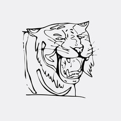Hand-drawn pencil graphics, tiger head. Engraving, stencil style. 