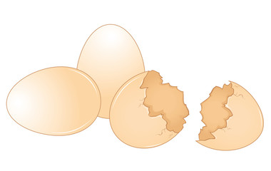 Brown chicken eggs collection