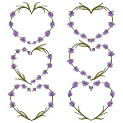 Set of vector heart of flowers of lavender. Isolated objects on white.