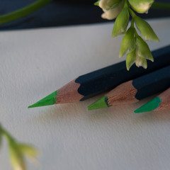 set of green pencils and freesia branch on white paper. close-upspring,          . -up
