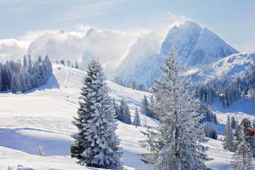 Fototapeta na wymiar Winter landscape scene in a ski resort in Austria