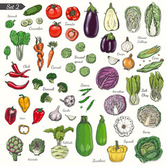 Big set of colored vegetables in sketch style
