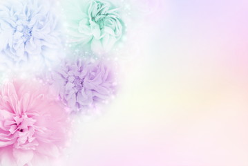multicolor roses in a soft pastel background, which conveys the concepts of love Valentine's Day and Wedding Invitation card making