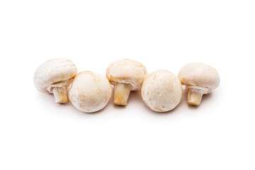Five Clean Champignon Mushrooms Isolated on White