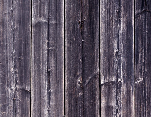 Weathered blue wooden fence texture with nails.