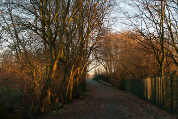 Path towards a small train track crossing