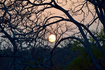 Silhouette of Sunset