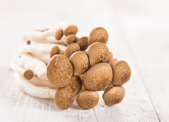 brown beech mushroom on white wooden background.