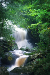 Fototapeta premium water fall