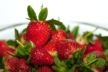 strawberry closeup