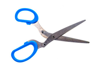Herb and spice scissors with comb on a white background.